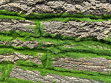 ACC0113 Artificial Moss Wall Panel 100x50cm | ARTISTIC GREENERY PERTH