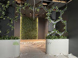 iDarts NIX Perth - Artificial Climbing Plants for Walls | ARTISTIC GREENERY
