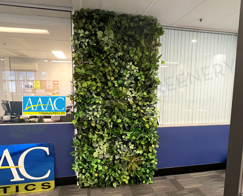 AAAC Towing (Welshpool) - Artificial Greenery Wall & Plants throughout Office
