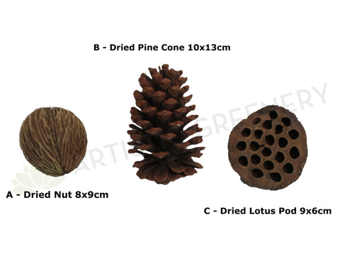ACC0057 Dried Nut, Pine Cone, Lotus Pod