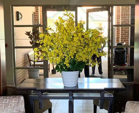 Acacia Living - Menora Gardens Aged Care Village  - Plants & Flower Arrangemenets | ARTISTIC GREENERY