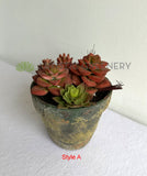 ACC0112 Faux Potted Succulent 4 Styles | ARTISTIC GREENERY 