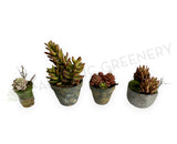 ACC0112 Faux Potted Succulent 4 Styles | ARTISTIC GREENERY 