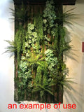 ACC0113 Artificial Moss Wall Panel 100x50cm | ARTISTIC GREENERY PERTH