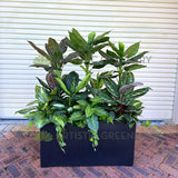 Artificial Mixed Plants in Planter Box 150cm Tall (used as divider) Ref: AOC