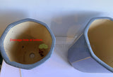 Octagon Blue Planter / Pot Glazed Finish - Ceramic CER0023 | ARTISTIC GREENERY