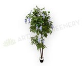 CT006 Wisteria Tree with Purple Flowers 180cm