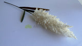 DS0061 White Synthetic Pampas Grass Stem 110cm | ARTISTIC GREENERY