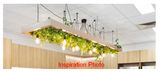 Drager (Balcatta) - Artificial Hanging Greenery Ceiling Suspended Meshed Panel | ARTISTIC GREENERY