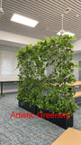 Edith Cowan University (ECU) Bunbury Campus - Artificial Climbing Plants for Planters | ARTISTIC GREENERY