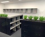 Ecorp (Mt Hawthorn) - Agave Plants for Tambour Units | ARTISTIC GREENERY