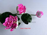 F0071 Water Lily  Lotus Spray with Lily Pads 106cm (avail in 5 colours)