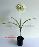 F0145 Artificial Agapanthus Stem 74cm (17cm Dia) | ARTISTIC GREENERY