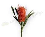 F0218 Faux Banksia Stem 60cm Orange (Artificial Australiana Flowers Perth) | ARTISTIC GREENERY