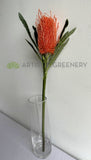 F0218 Faux Banksia Stem 60cm Orange (Artificial Australiana Flowers Perth) | ARTISTIC GREENERY