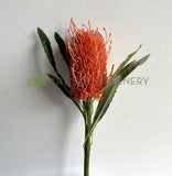 F0218 Faux Banksia Stem 60cm Orange (Artificial Australiana Flowers Perth) | ARTISTIC GREENERY