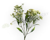 F0229L Queen Anne's Lace / Wild Carrot / Cow Parsely 60cm Large