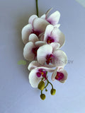 F0235 Real Touch Phalaenopsis Orchid / Butterfly Orchid 77cm Light Pink | ARTISTIC GREENERY