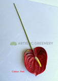 F0257L Artificial Anthurium / Flamingo Flower 63cm Large Red / Light Green / White | ARTISTIC GREENERYFake Anthurium plastic flamingo flower WA Australia