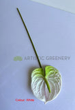 F0257L Artificial Anthurium / Flamingo Flower 63cm Large Red / Light Green / White | ARTISTIC GREENERYFake Anthurium plastic flamingo flower WA Australia