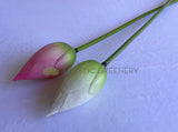 F0259 Artificial Water Lily Bud (Lotus Flower Bud) 93cm Pink / White | ARTISTIC GREENERY