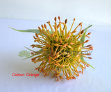 F0360-S92 Faux Pincushion Protea with Leaves 52cm 3 Colours| ARTISTIC GREENERY