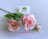 Baby Pink - F0427 Silk Rose Garden Rose Spray 64cm Pink & White / Hot Pink / Baby Pink | ARTISTIC GREENERY