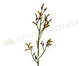 F0433 Artificial Kangaroo Paw Spray 76cm Yellow | ARTISTIC GREENERY