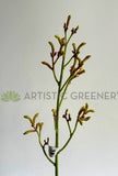 F0433 Artificial Kangaroo Paw Spray 76cm Yellow | ARTISTIC GREENERY