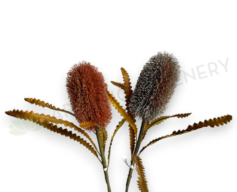 F0436 Artificial Dried Style Banksia Serrata 62cm Brown / Red | ARTISTIC GREENERY