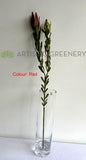 F0437 Faux Leucadendron / Safari Sunset Double Stem 83cm 2 Colours | ARTISTIC GREENERY