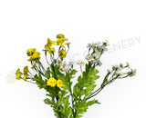 F0438 Artificial Chamomile Spray 54cm Yellow / White | ARTISTIC GREENERY