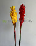 F0440 Artificial Aphelandra (Bromelia Flowers) 80cm Yellow / Red | ARTISTIC GREENERY