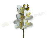 F0448 Latex Phalaenopsis Orchid 67cm White 5 Flowers | ARTISTIC GREENERY