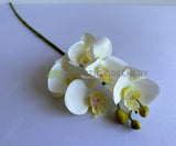 F0448 Latex Phalaenopsis Orchid 67cm White 5 Flowers | ARTISTIC GREENERY