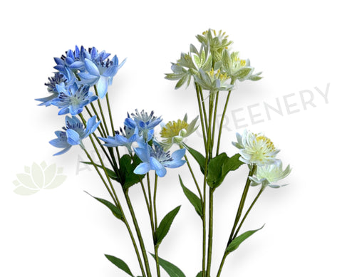 F0456 Artificial Astrantia / Blushing Bride Spray 61cm Light Blue / Light Green | ARTISTIC GREENERY