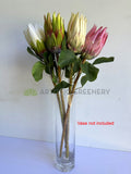 F0457 Artificial Queen Protea Stem 67cm 4 colours | ARTISTIC GREENERY 