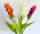 F0477 Ginger Flower 73cm Orange / White / Purple | ARTISTIC GREENERY