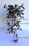 HP0097 Hanging Spiderwort / Tradescantia / Wandering Jew Plant 63cm 2 styles | ARTISTIC GREENERY