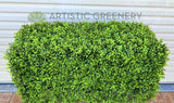 Artificial Hedge (made-to-order) 40+45cm H x 38cm W x 92cm L (Ref: Lloyd H) | ARTISTIC GREENERY