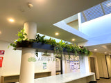 Perth Radiological Clinic (Subiaco) - Artificial Plants for Bulkhead / Built-in Hanging Planter| ARTISTIC GREENERY PERTH