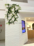 Bare Skin & Beauty (Whitfords) - Climbing Ivy for Shop Front | ARTISTIC GREENERY