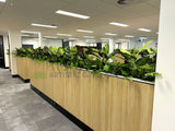 Vivid Property Perth (Applecross)  - Artificial Plants for Planters/ Cabinets | ARTISTIC GREENERY