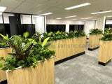 Vivid Property Perth (Applecross)  - Artificial Plants for Planters/ Cabinets | ARTISTIC GREENERY