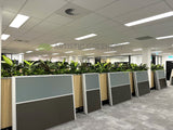 Vivid Property Perth (Applecross)  - Artificial Plants for Planters/ Cabinets | ARTISTIC GREENERY