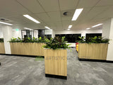 Vivid Property Perth (Applecross)  - Artificial Plants for Planters/ Cabinets | ARTISTIC GREENERY