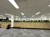 Vivid Property Perth (Applecross)  - Artificial Plants for Planters/ Cabinets | ARTISTIC GREENERY