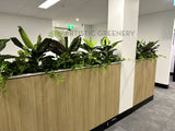 Vivid Property Perth (Applecross)  - Artificial Plants for Planters/ Cabinets | ARTISTIC GREENERY