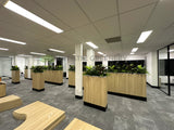 Vivid Property Perth (Applecross)  - Artificial Plants for Planters/ Cabinets | ARTISTIC GREENERY