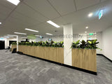 Vivid Property Perth (Applecross)  - Artificial Plants for Planters/ Cabinets